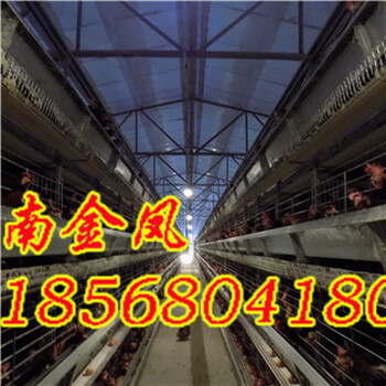 思茅自动化养鸡设备金凤鸡笼蛋鸡养殖设备厂家3列3层养鸡笼