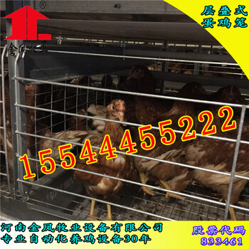 滁州鸡笼_金凤养鸡设备厂_阶梯式蛋鸡笼_层叠式鸡笼