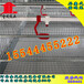 洛阳金凤鸡笼4列6层重叠式自动化养鸡设备