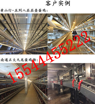 怒江_金凤鸡笼厂自动化系列层叠式蛋鸡笼设备