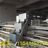 蚌埠市河南金凤鸡笼8层8万全自动养鸡设备产品优势图片4