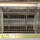 河南金凤养鸡设备8层10万重叠鸡笼设备常州新报道图片5