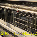 河南金凤养鸡设备8层10万重叠鸡笼设备常州新报道图片0