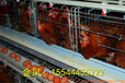 厦门市河南金凤养鸡设备8层8万养鸡笼子产品优势