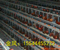 蚌埠市河南金凤鸡笼8层8万全自动养鸡设备产品优势