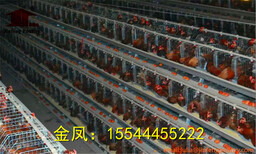 蚌埠市河南金凤鸡笼8层8万全自动养鸡设备产品优势图片0