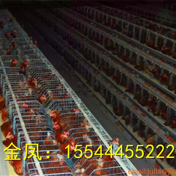 沧州市河南金凤鸡笼金耐尔新型养鸡设备产品优势