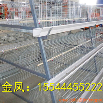 河南金凤鸡笼8层10万层叠式笼养设备廊坊招商代理