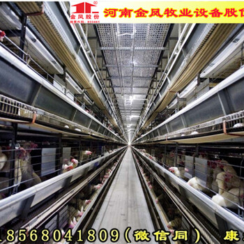 西平金凤鸡笼4层4万重叠式鸡笼泰州厂家