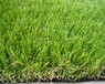 绿化环保塑料草仿真人造草坪公园幼儿园屋顶天台装饰景观草坪