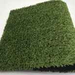 室内外装饰人工草皮人造塑料假草坪地毯1公分普草图片5