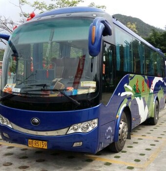 深圳商务车、19-26座中巴车、35-55座大巴车