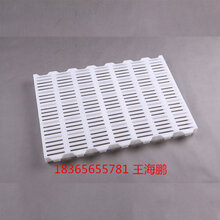 养猪用漏粪塑料猪用漏粪板猪用漏粪板批发图片