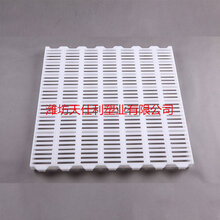山东潍坊天仕利猪用漏粪板猪用漏粪地板价格母猪保温床批发图片