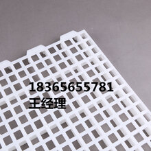 厂家大量直销家禽养殖漏粪板鸡鸭鹅用漏粪板家禽漏粪板厂家图片