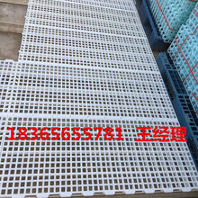 厂家大量批发鸡用漏粪板价格鸡用漏粪板规格鸡用漏粪板批发图片