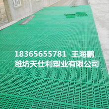 天仕利大量供应羊用漏粪网山羊漏粪网价格羊用漏粪网厂家图片
