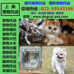 上海国际宠物托运公司国际快运物流业务