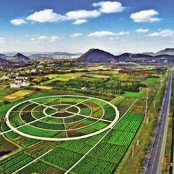 邢臺(tái)能源審計(jì)報(bào)告2025
