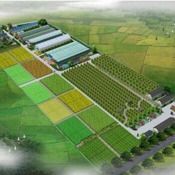 確山縣能源審計報告2025版