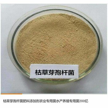 全水溶枯草芽孢桿菌1000億