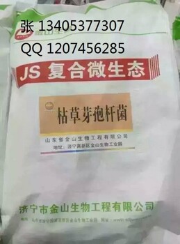 淄博酵母菌廠家微生物菌粉系列報(bào)價(jià)