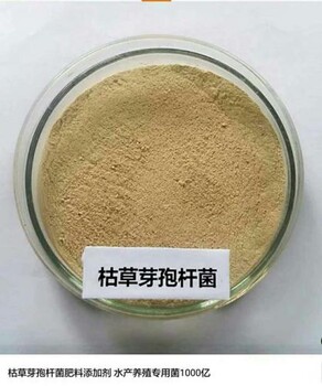 聊城芽孢桿菌廠家微生物菌粉系列批發(fā)報(bào)價(jià)