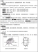 ISTA-3B：2017零担货物运输包装件的通用模拟运输测试