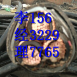 北京东城区电缆回收技术鉴定-废旧电缆回收价格图片0
