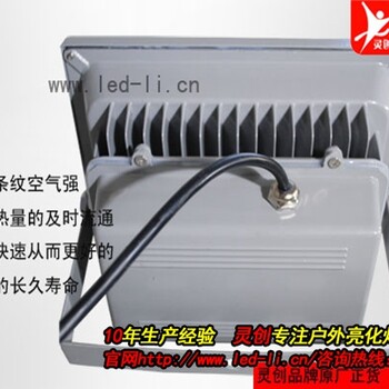 江蘇南京LED投光燈投得遠(yuǎn)防水質(zhì)量好你放心的廠家-靈創(chuàng)照明