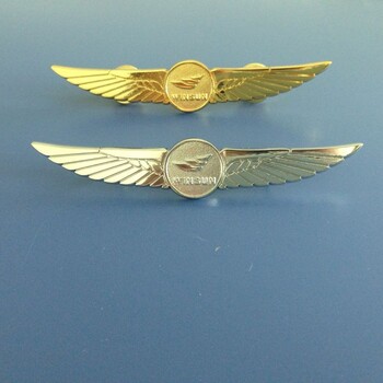 翅膀航空公司胸章，立体翅膀胸牌定制，翅膀造型司徽制作，年度奖胸牌定制