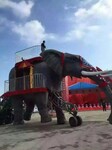 北京地产活动项目机械大象展览出租，蜂巢迷宫专业生产项目出租