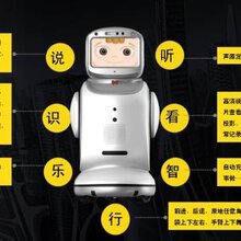 卡特智能小宝机器人图片