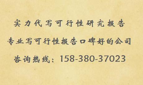 达县优惠写可研报告《燃料》类似案例