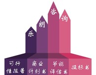 彝良县可研报告写可行-项目备案申请书图片3