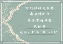 思明代做项目可行性研究报告如何编写、立项拿地图片3