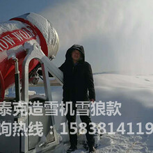 滑雪場全自動造雪機廠家雪鄉雪村景區做活動大小型造雪機圖片
