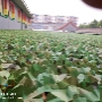 網(wǎng)多少錢一米
