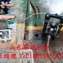 井下智能自動氣動隔膜泵BQG710/0.1Z技術(shù)參數(shù)資料