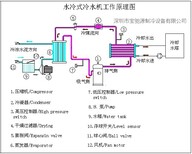 水冷式冷水机水冷式冷水机生产厂家水冷式工业冷冻机宝驰源BCY-20W图片5