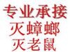 唐山遵化灭老鼠蟑螂消杀公司