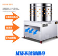 鸡鸭脱毛机家禽脱毛机厂家直销图片