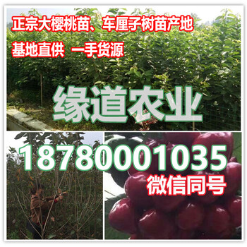 云南車?yán)遄用缗l(fā),2018云南車?yán)遄訕涿鐑r(jià)格
