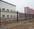 西青区铁艺加工，铁艺大门，围栏，护窗制作安装图片