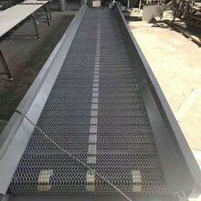 耐高温网带输送机高温炉网带输送设备山东生产厂家定制图片