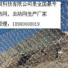 RXI025RXI050RXI075被動網(wǎng)廠家圖片