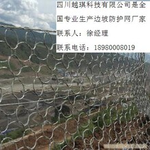 RXI025被動防護網(wǎng)/rxi025被動防護網(wǎng)圖片