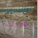供应大丝六角网/黄河治理挡坡六角石笼网/高锌丝石笼网质量保证
