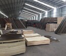 九江圆柱木模板生产厂家，圆模板批发，厂家直销