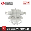 荣通防爆DGS24/127L矿用led巷道灯24W防爆照明灯具